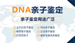 南京专业司法亲子鉴定中心到哪里，南京司法DNA亲子鉴定费用多少钱一次