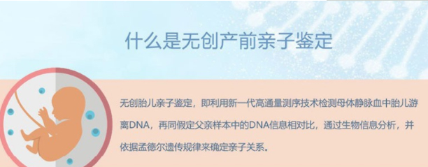 在嘉兴怀孕几个月如何办理孕期亲子鉴定,嘉兴办理孕期亲子鉴定准确可靠吗