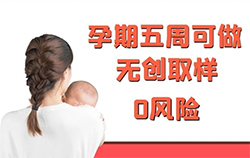 湖州要如何办理怀孕亲子鉴定