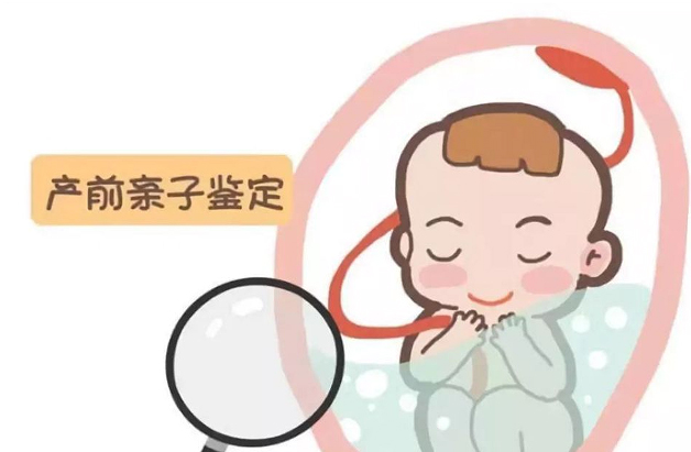 西安怎么检测胎儿的父亲是谁,西安孕期亲子鉴定大概多少费用 西安怎么检测胎儿的父亲是谁,西安孕期亲子鉴定大概多少费用