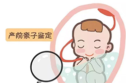 阳泉胎儿如何办理DNA鉴定，阳泉无创产前亲子鉴定费用是多少