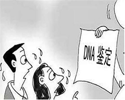 兴安盟亲子鉴定需要多少钱，兴安盟亲子鉴定需要什么材料和流程